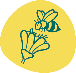 une abeille qui butine une fleur sur fond jaune