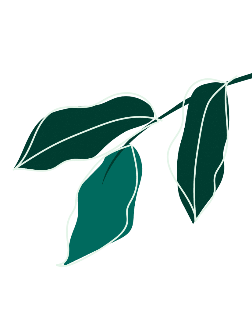 Branchage vert avec trois feuilles pour la partie blog