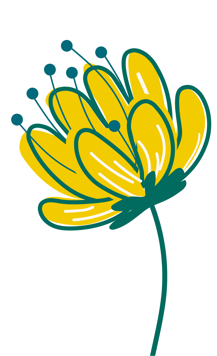 fleur sur page d'accueil